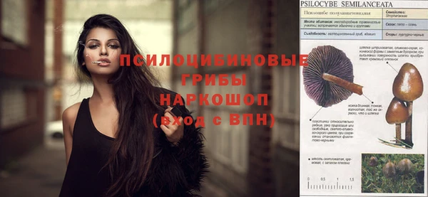 сатива Балабаново