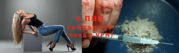сатива Балабаново