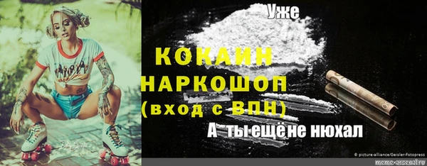 скорость Баксан