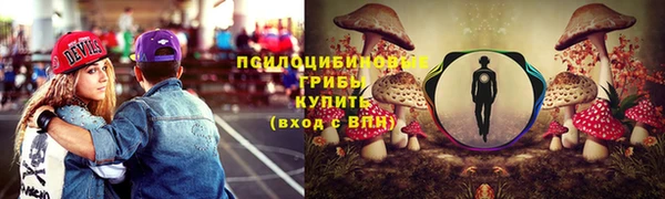 сатива Балабаново