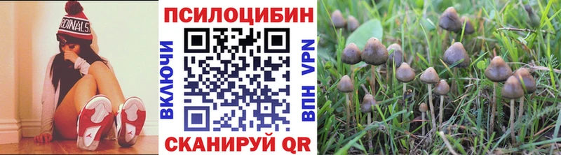 Псилоцибиновые грибы Psilocybe цены Судак